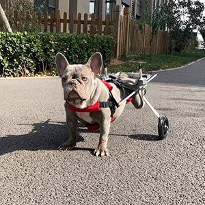 Cora Pet Huisdier-rolstoel, voor kleine en grote honden, voor ondersteuning en revalidatie, rolstoel voor de achterpoten, voor gehandicapte honden, verlamde dieren en gehandicapte katten, postoperatieve reparatie, 2 Wielen, 3-10 kg