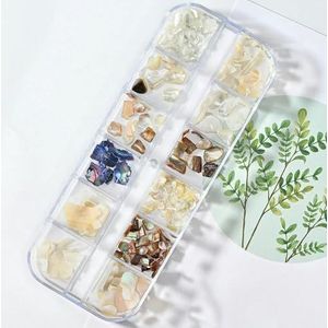 12 roosters/doos onregelmatige abalone natuurlijke schelp nagelvlokken 3D Aurora nagel schelp vlokken DIY 1 * doos manicure natuurlijke abalone schelp-PH027