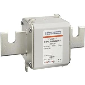 XMAFRJIO PC73GB69V550EF PC73GB69V630EF G301352 PC73GB69V700EF H301353 PC73GB69V800EF PC73GB69V900EF PC73GB69V1000EF Zekering