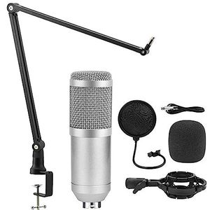 Complete podcastkit, Microfoon Studio V8 Geluidskaart Fantoomvoeding Kits Bm800 Condensator Microfoon for PC Computer Opname Karaoke Streaming(Silver Mic kits 1)