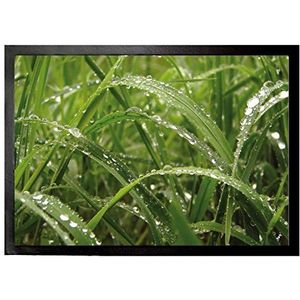 1art1 Planten Dew Drops In Green Grass Deurmat 70x50 cm