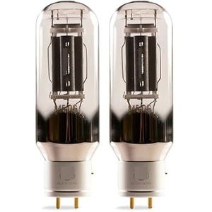 4-kanaals DIY versterker kit met vacuüm ventiel 845-DG 845DG (2 stuks)