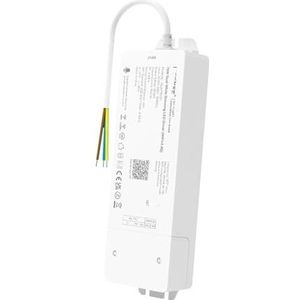 1 stuk AC100-240V 75W LED Strip Controller Driver WiFi Dimmer 2.4G Single Color/Dual Wit/RGB/RGBW/RGB + CCT DC24V (Kleur: WL2-P75V24)