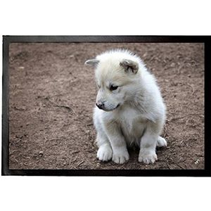 1art1 Honden Cute Little Greenland Puppy Dog Deurmat 60x40 cm