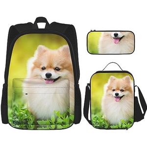 Leuke Puppy Hond in Spring Park Rugzak Set 3 stks met Lunch Tas Potlood Case Reizen Dagrugzak Lunch tas potlood zakje Combinatie, Zwart, Eén maat, Rugzakken