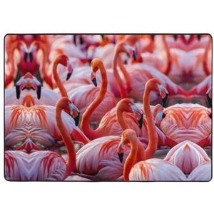YJxoZH Flamingo Print Home Tapijten, Voor Woonkamer Keuken Antislip Vloer Tapijt Zachte Slaapkamer Tapijten - 148x 203cm