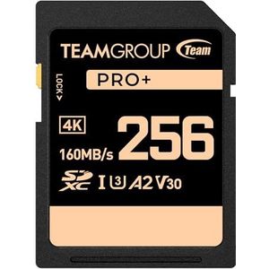 TEAMGROUP PRO 256 GB UHS-I U3 A2 V30 4K UHD Lees-/schrijfsnelheid tot 160/120MB/s SDXC-geheugenkaart voor professionele vloggers, filmmakers, fotografen en contentcuratoren TPPSDX256GIA2V3001