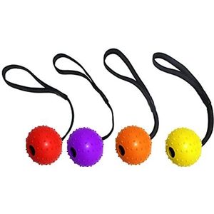 Sprenger Hondenspeelgoed, rubberen bal met touw
