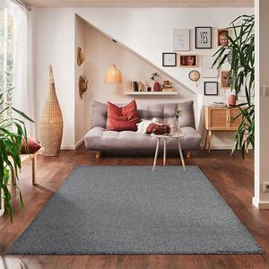 Effen, kortpolig tapijt voor de woonkamer, super zacht, verkrijgbaar in verschillende kleuren en maten., Kleur: Grijs, Maat: 200 x 290 cm