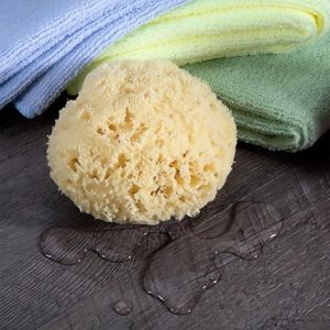 Neptune Natural Zeewol spons - alle natuurlijke honingraat hernieuwbare zee spons, medium, 3-4 inch