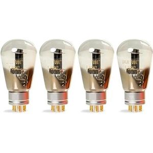E-6SN7 Buis Audio Valve Amplifier (4 PCS)