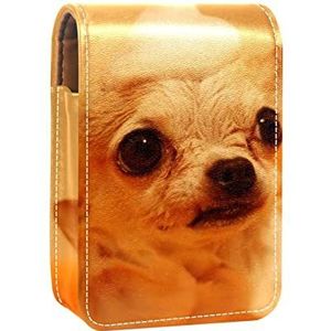 Draagbare Lipstick Case voor op reis, Mini Lipstick Opbergdoos met spiegel voor vrouwen dames, Lederen cosmetische Pouch Dier Hond Pet, Meerkleurig, 9.5x2x7 cm/3.7x0.8x2.7 in