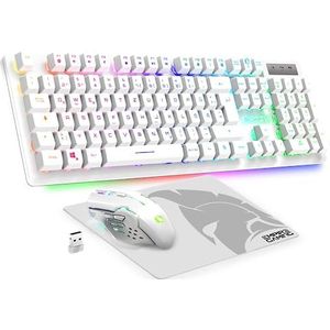 Empire Gaming - Armor RF800 draadloos oplaadbaar gaming toetsenbord en muis set QWERTZ (DE-lay-out) - 2,4 G RGB toetsenbord - Ergonomische muis 4800 DPI met muismat - PC PS4 PS5 Xbox One/Serie Mac