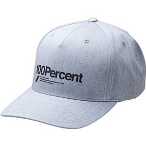 100% Manifesto snapback grijs ·