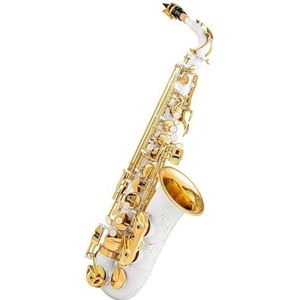 saxofoon kit Witte Professionele Altsaxofoon Saxofoon E-flat Witte Verf Gouden Toetsen Gegraveerd Prachtig Jazzinstrument Met Patroon (Color : Canvas bag)
