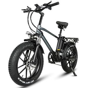 Kinsella CMACEWHEEL T20, 17AH lithiumbatterij, achtermotor, 20 inch dikke band elektrische fiets. (grijs)