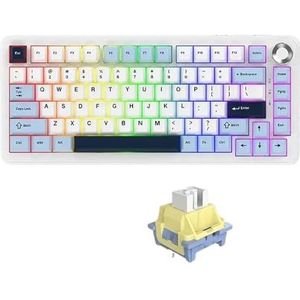 QPSJXN TRI-Mode Draadloos Bluetooth mechanisch toetsenbord 75 aanpasbare afdichting, gamingtoetsenbord met zijdelings gesneden design (Glacier Blue)