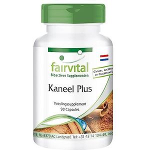 Fairvital | Kaneel Plus - HOOG GEDOSEERD - VEGAN - 90 capsules - kaneel extract met chroom en zink