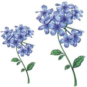 neptattoo, tijdelijke tatoeages, 5 vellen blauwe hortensia tijdelijke tattoo stickers waterdicht realistische planten bloemen nep tattoo body art tattoo kit