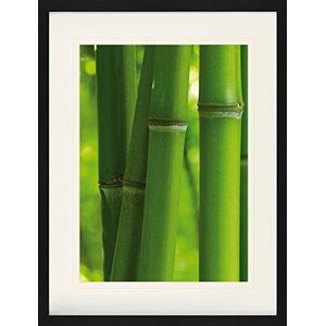 1art1 Bamboe Poster Stems Close-Up Ingelijste Foto Met Passepartout | Muur Foto's | In Een Fotolijstje 80x60 cm