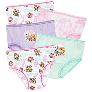 Paw Patrol Girls' Skye and Everest Underwear