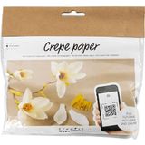 Creativ Company Mini-knutselsets crêpepapier bloemen magnoliatak - voor het knutselen van prachtige crêpebloemen