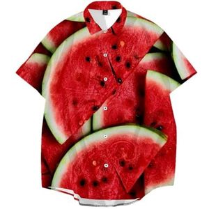 Ffnkrnfi Mannen Fruit Patroon Shirt 3D Print Kleurrijke Casual Strand Hawaiiaanse Shirt Zomer Korte Mouw Plus Size Knop Blouse, 00206, 3XL