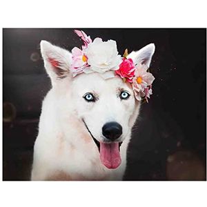 Viplili Doe-het-zelf Diamond Painting Siberische husky hond doe-het-zelf diamant schilderij kristal kruissteek set diamant mozaïek volledige cirkel diamant ambachten 30 x 40 cm