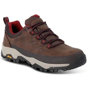 Regatta Blake wandelschoenen voor dames, Bruin, 38 EU