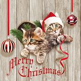 20 servetten katten w nschen Vrolijk Kerstmis | Dieren | Winter | Tafeldecoratie | Feest | Knutselen | Decoupage | Servettechniek 33 x 33 cm