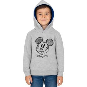 Mickey Mouse Mickey Mouse Hoodie