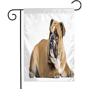 Vlag 30 x 45 cm, bruin wit Engelse bulldog liggend op zoek naar 11 dieren wilde dieren geen zwarte hond carnivoor uitgesneden activiteit vlag grappige veranda vlag, voor carnaval, festival