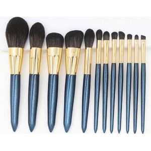 MQPALZKD 12-delige make-upborstelset Poeder, Rouge, Oogschaduwborstel, Volledige set schoonheidshulpmiddelen