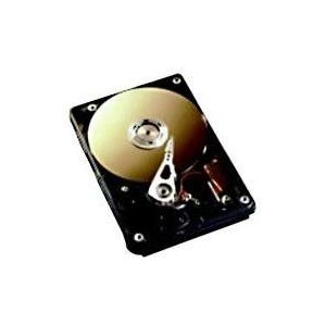 Fujitsu Harddrive 300GB 3,5in 15K rpm HD SAS 3Gb/s 300GB 10k hot, 34000778 (HD SAS 3Gb/s 300GB 10k hot plug 3.5, 3.5, 300 GB, 10000 RPM)
