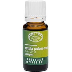 RATHAUS APOTHEKE WIEN geconcentreerd knopextract - Betula pubescens - De moerberk, knoppen - 15 ml