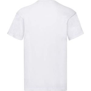 FRUIT OF THE LOOM T-shirt voor heren (10)