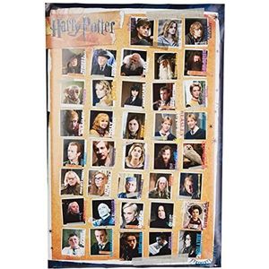 Poster Harry Potter Wanted Sirius Black 61x91,5cm