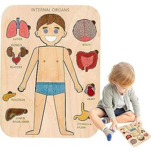 Puzzel van het menselijk lichaam | Menselijk lichaam speelgoed orgel structuur houten puzzel - Educatieve legpuzzels Menselijke lichaamsdelen, interactieve leerpuzzels voor kleuters Founcy