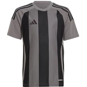 adidas Unisex niños STRIPED 24 JERSEY KIDS, team grey four/black, 5-6 Years