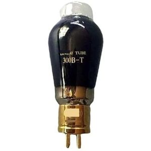 Hifi 300B-T 300B-T Audioversterker met precisiekoppeling