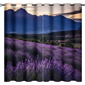 AEMYSKA Vintage lavendel verduisterende gordijnen voor woonkamer paarse bloem rustiek landschap raambehandeling thermisch geïsoleerde gordijnen voor slaapkamer 160 x 160 cm print doorvoertule gordijn