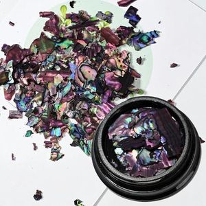 1 pot Nail Holografische Abalone Schelp Plakjes 3D Glitter Ultradunne Pailletten Vlokken Manicure Paillette Schelp Vlokken-11