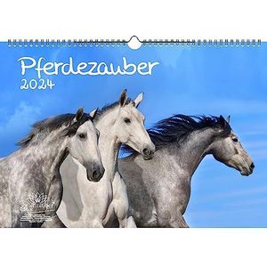 Paardenmagie DIN A3 kalender voor 2024 paarden en veulen – gemoedsrust