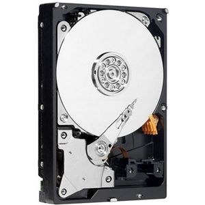 Dell ST3250310NS Seagate Barracuda ES.2, 3,5 inch 250GB 7200RPM SATA Raid Edition harde schijf