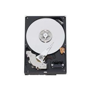 Western Digital WD7500AYPS RE2-GP Enterprise 750GB interne harde schijf (8,9 cm (3,5 inch), 7200rpm, 16MB cache, S-ATA)