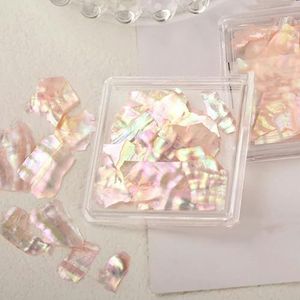 1Box Nail Art Abalone Seashell Slices Ocean Series 3D Aurora Gepolijst Kleurrijke Shell Nail Art Pailletten Natuurlijke Nagel Ultradun-4