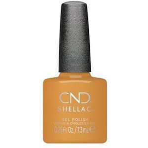 Shellac Running Latte