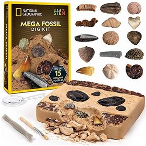 National Geographic Mega-fossielenopgravingsplaats – 15 echte fossielen