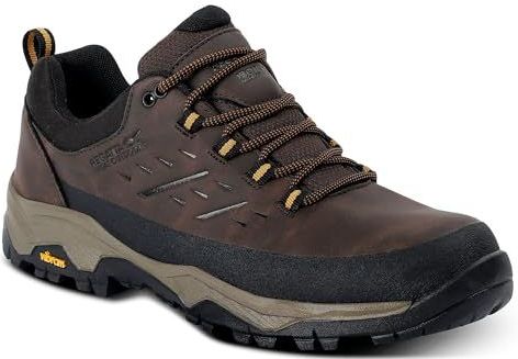 Regatta Blake Low Wandelschoenen