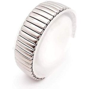 horlogebandjes heren vervangende horlogebanden Horlogeband 12 14 16 18 20 22MM roestvrij staal stretch verlengstukken band zilver metalen horlogeband horlogeaccessoires (bandkleur: zilver, bandbreedte